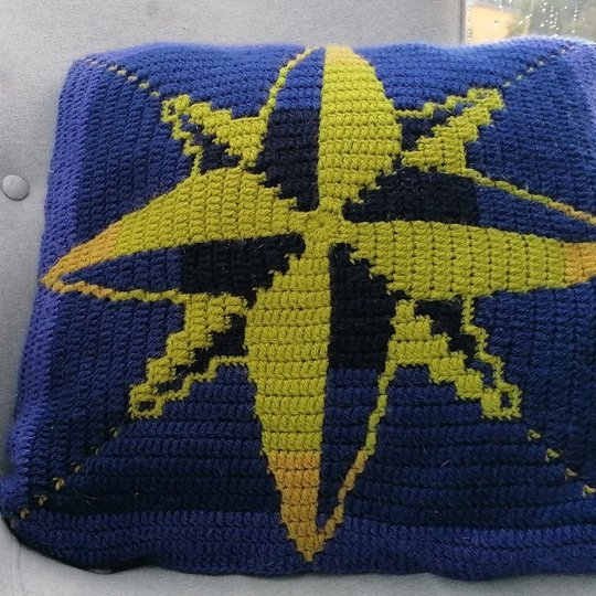 Compass (pillow)