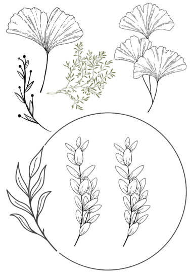 Stickvorlage Blätter & Blüten PDF | Stickmuster Download A4 | Handstickerei