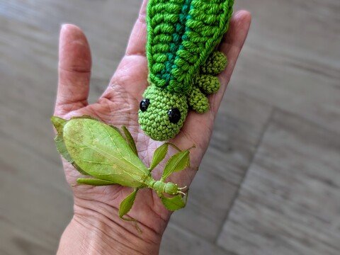2 in 1 Anleitung Wandelndes Blatt (Phyllium) und Laubheuschrecke