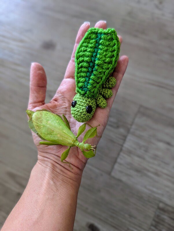 2 in 1 Anleitung Wandelndes Blatt (Phyllium) und Laubheuschrecke