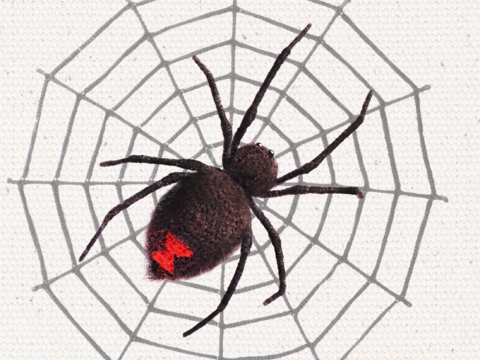 Häkelanleitungen Halloween-Deko : Schwarze Witwe, Spinnennetz & Girlande.