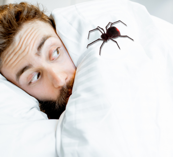 Häkelanleitungen Halloween-Deko : Schwarze Witwe, Spinnennetz & Girlande.