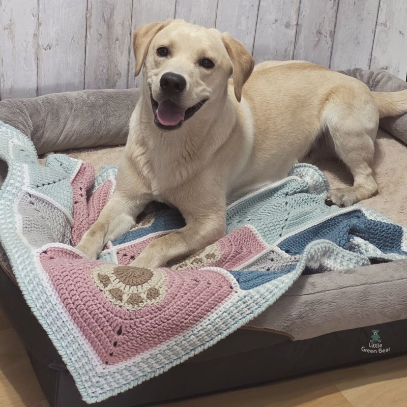 Pastel granny square crochet blanket inside a gray dog bed with a light-colored dog