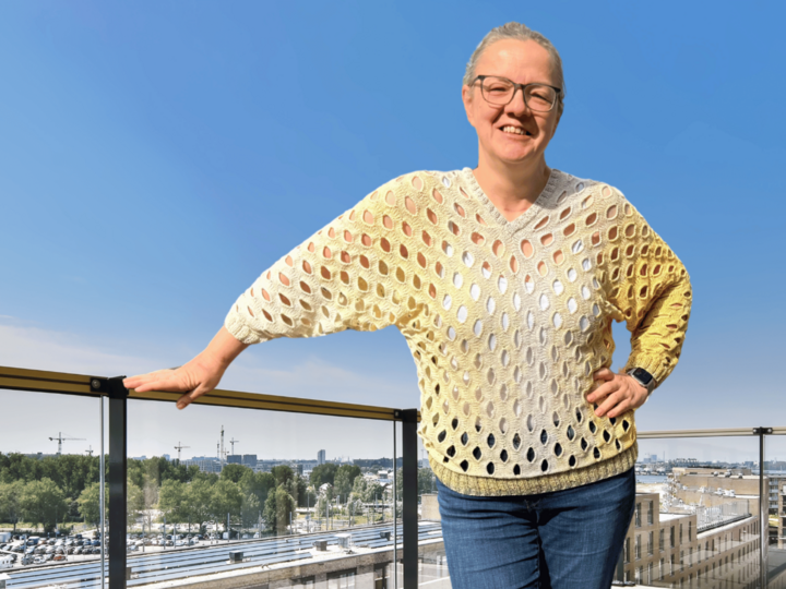 Strickanleitung für Pullover Letterston