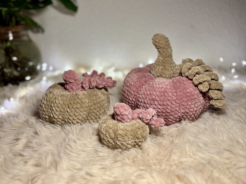 Blushy der Kürbis und seine Schwestern