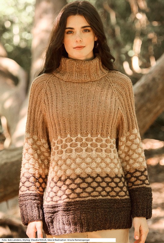 Passenpullover mit Rollkragen - Bild 2