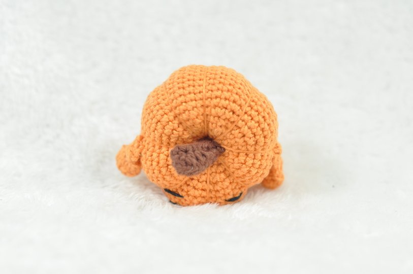 Häkelanleitung Positiv Pumpkin