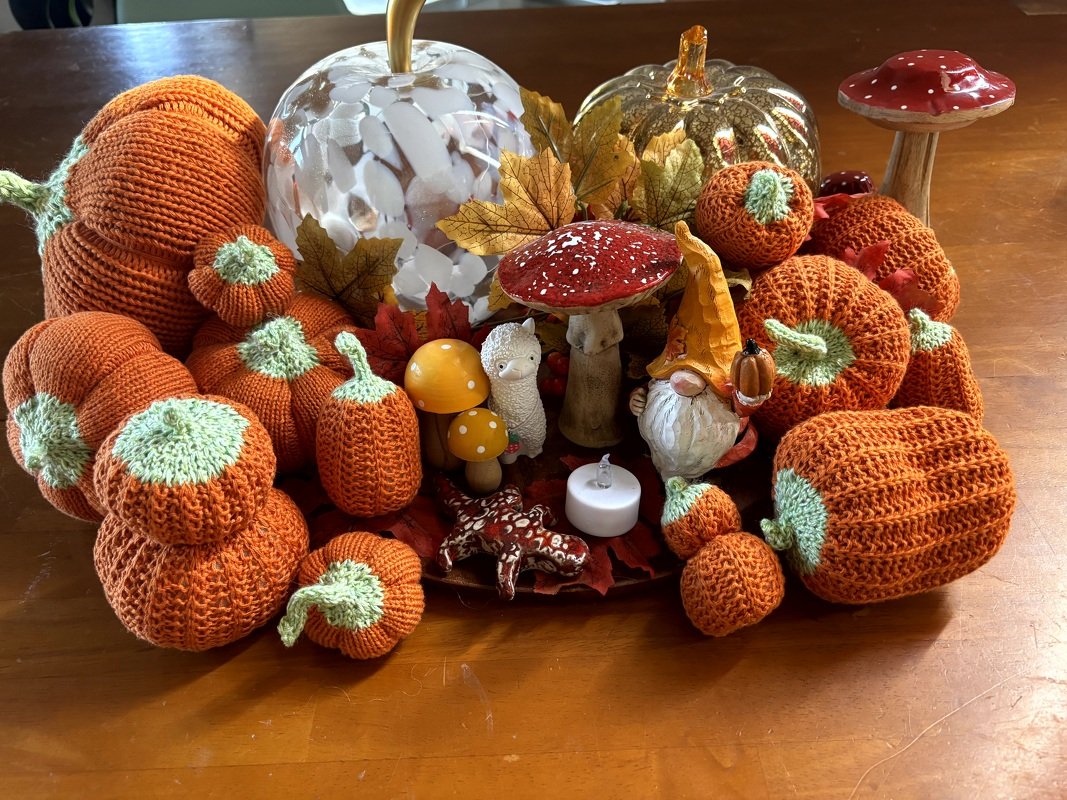 Pumpkins - Image 5