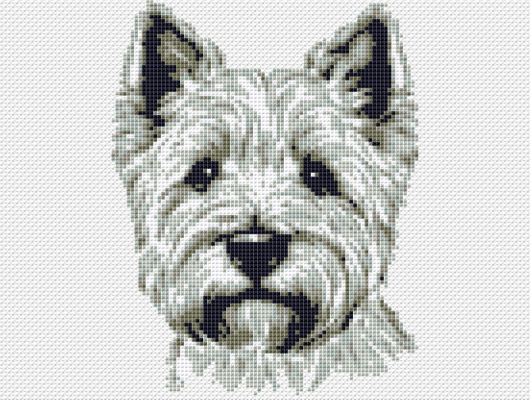 Kreuzstichvorlage Norfolk Terrier Tati, Stickvorlage als PDF und PNG