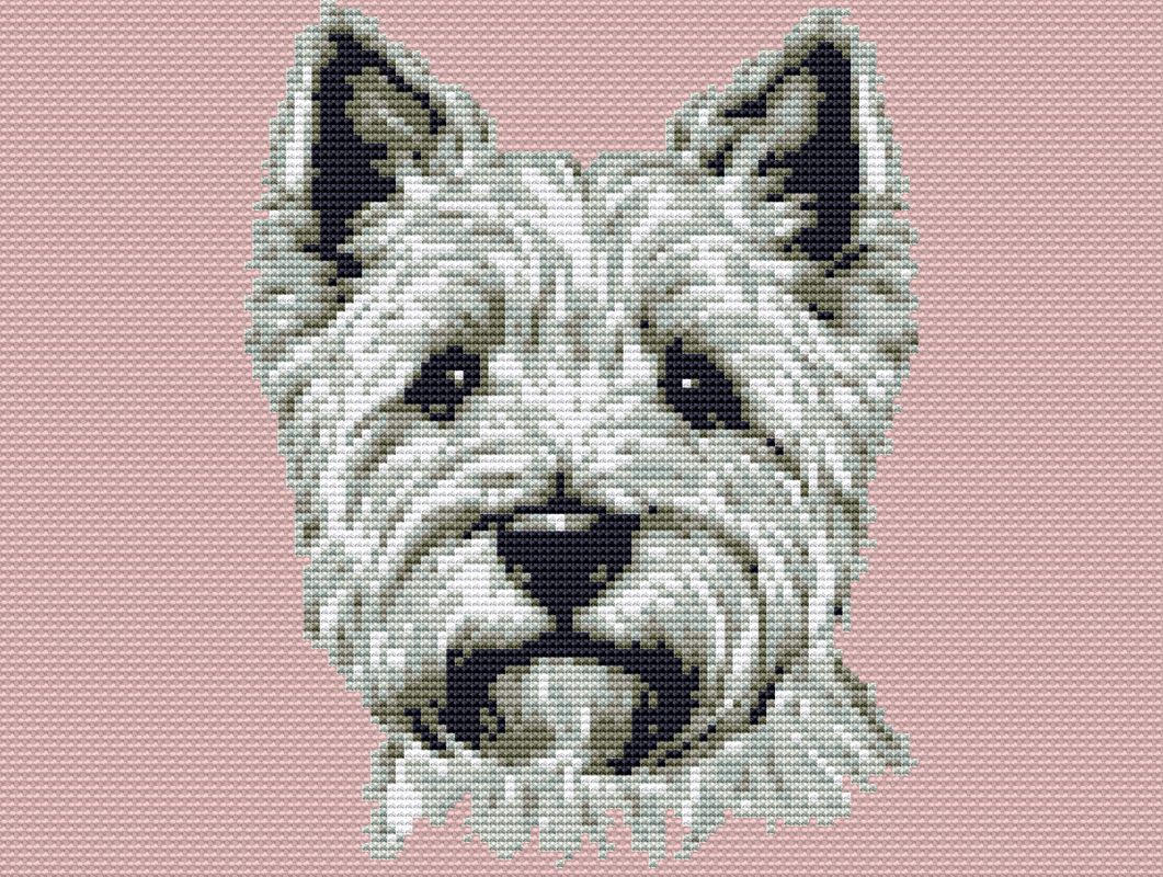 Kreuzstichvorlage Norfolk Terrier Tati, Stickvorlage als PDF und PNG - Bild 7