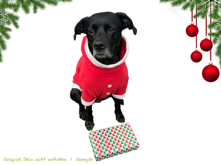 SANTA PAWS Hunde-Weihnachtspullover, Gr. XS–XXL, Anleitung+Schnitt