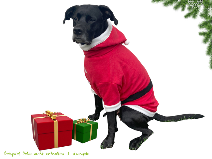 SANTA PAWS Hunde-Weihnachtspullover, Gr. XS–XXL, Anleitung+Schnitt