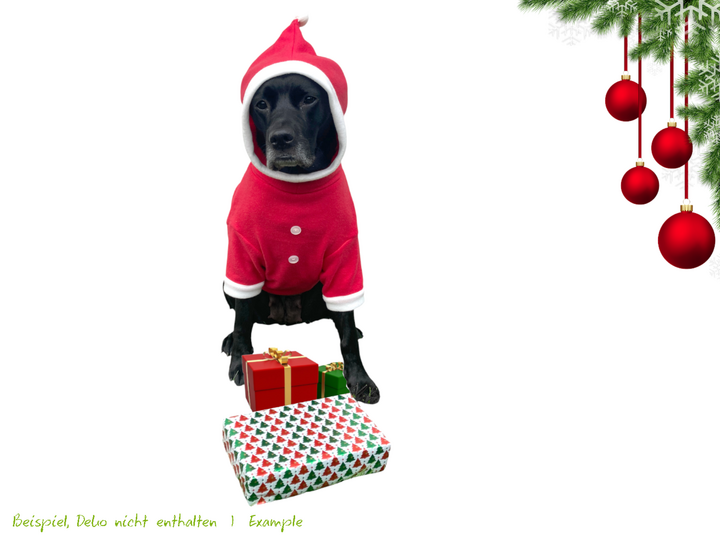 SANTA PAWS Hunde-Weihnachtspullover, Gr. XS–XXL, Anleitung+Schnitt