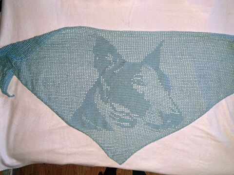 Anleitung Motivtuch Bullterrier