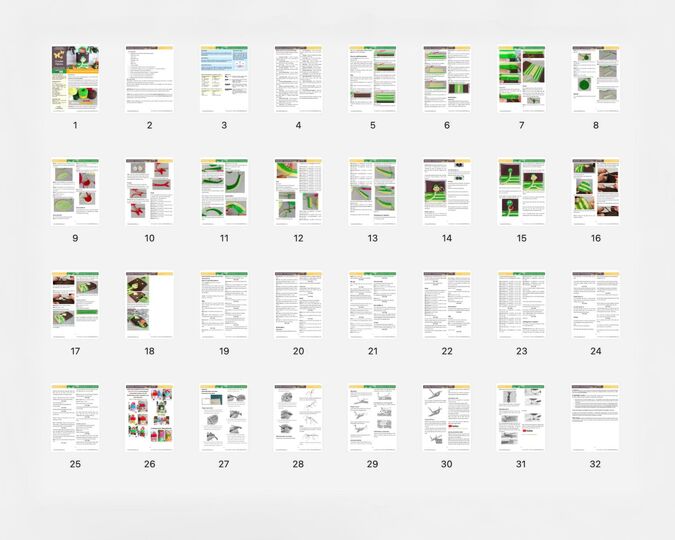 349 HandBag Snake. Perfect Beginner-Friendly DIY Project, Zabelina