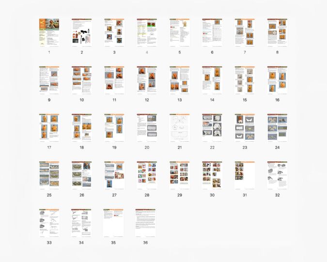 352 Teddy Bear Berkin (Bear Pumpkin) with pants and dress (sewing) Zabelina