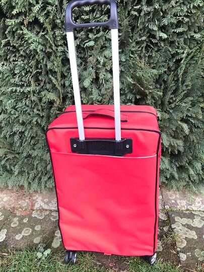 Sannys Trolley - E-Book und Nähanleitung