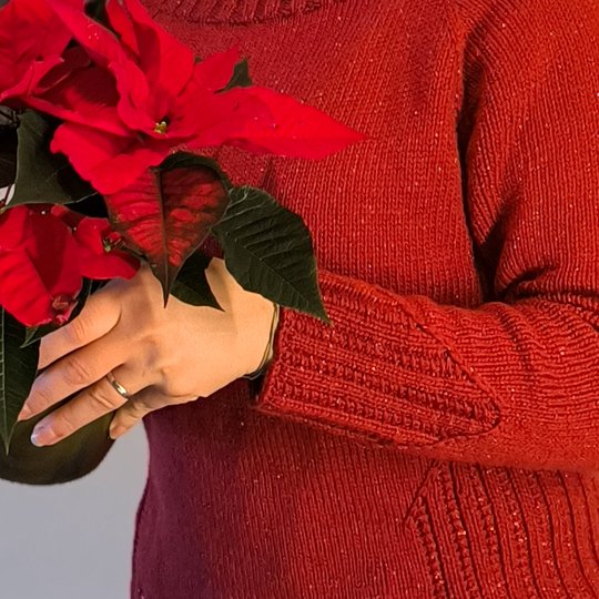 Panda-Pulli Nr.6 "Es weihnachtet sehr"