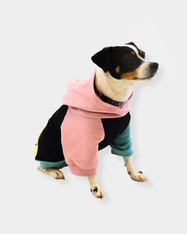 eBook Hunde-Hoodie