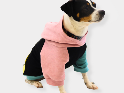 eBook Hunde-Hoodie