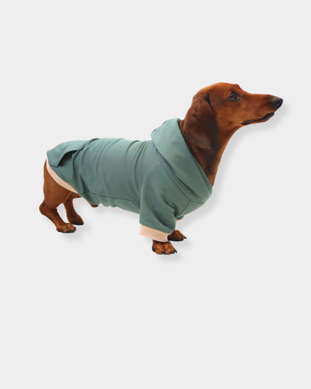 eBook Hunde-Hoodie - Bild 4
