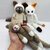 Cat-Trio crochet pattern by NiggyArts
