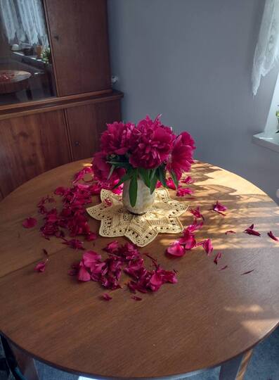 Sternendeckchen "Astraia"