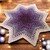 Star Doily "Astraia"
