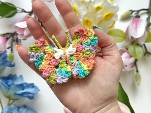 Rufflewing Butterfly