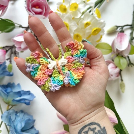 Rufflewing Butterfly