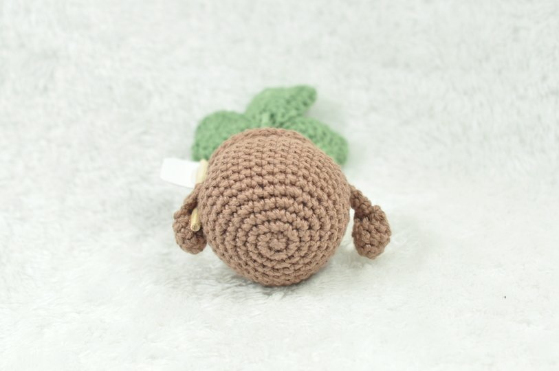 Crochet Pattern Clover with Quote