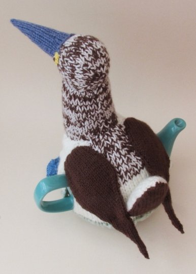 TeaCosyFolk's Blue-Footed Booby Tea Cosy Knitting Pattern