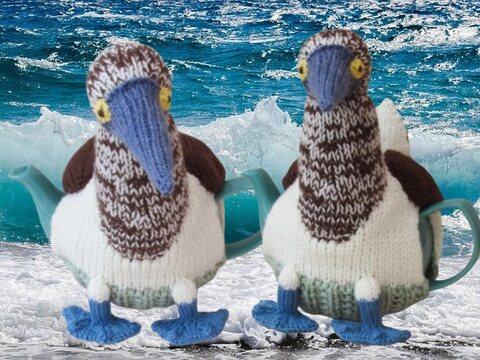 TeaCosyFolk's Blue-Footed Booby Tea Cosy Knitting Pattern
