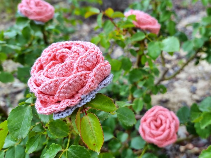 Crochet pattern, 3D motif, rose, granny square