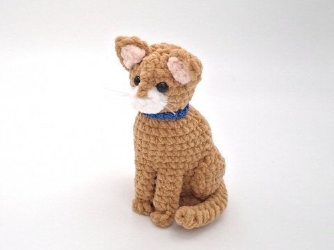 Connie, die sitzende Katze