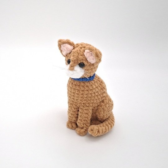 Connie, die sitzende Katze