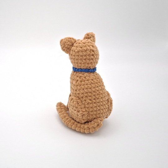 Connie, die sitzende Katze