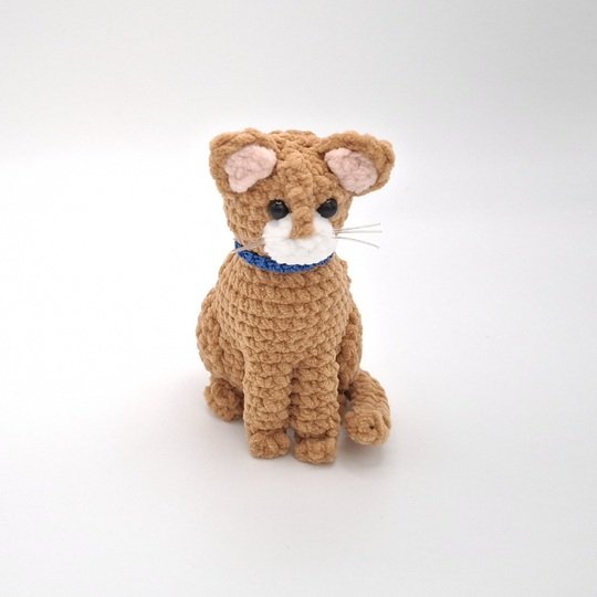 Connie, die sitzende Katze