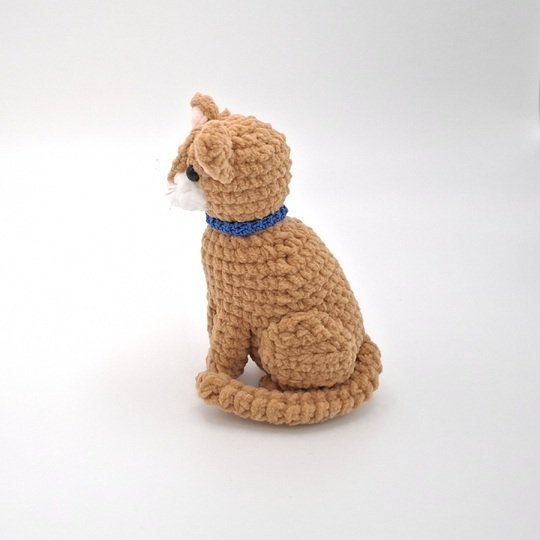 Connie, die sitzende Katze