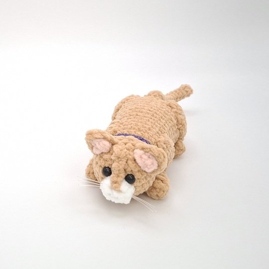 Cassie, the hunting cat