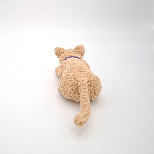 Cassie, die jagende Katze