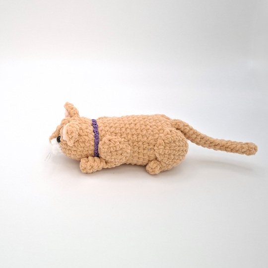 Cassie, die jagende Katze