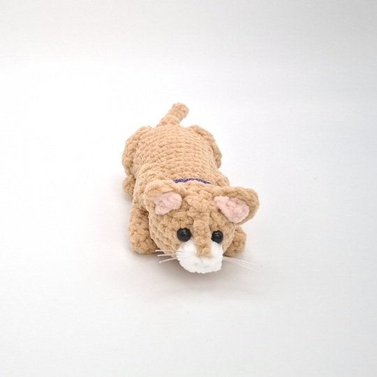 Cassie, the hunting cat