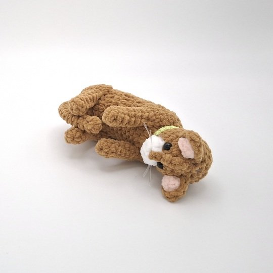 Cara, die spielende Katze