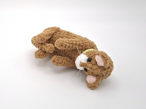 Cara, the playing cat