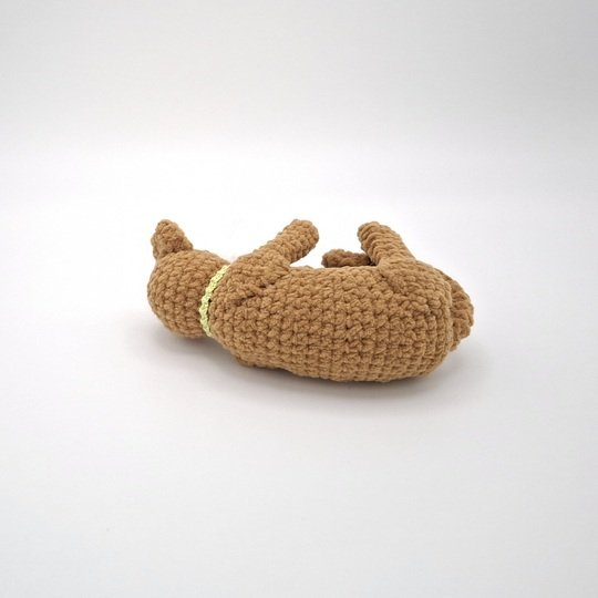 Cara, the playing cat