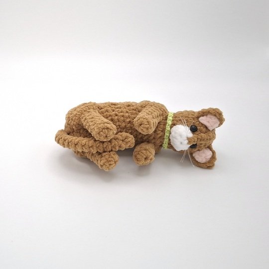 Cara, the playing cat