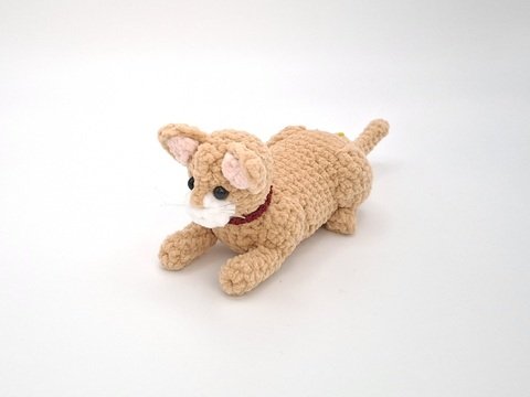 Charlie, die Sphinx-Katze