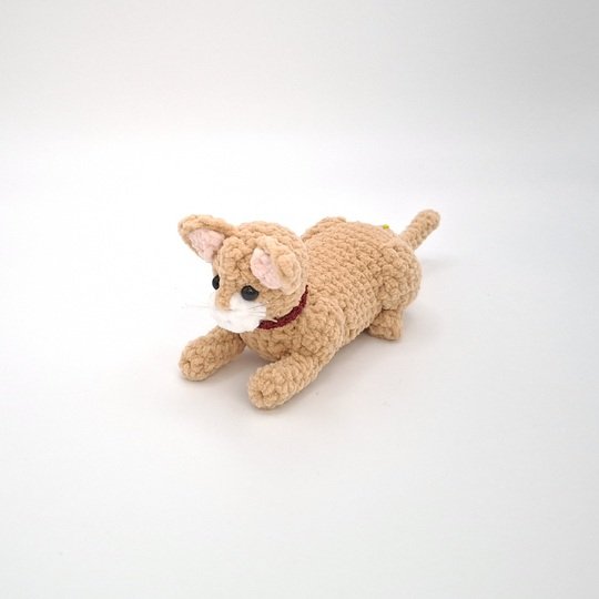 Charlie, die Sphinx-Katze