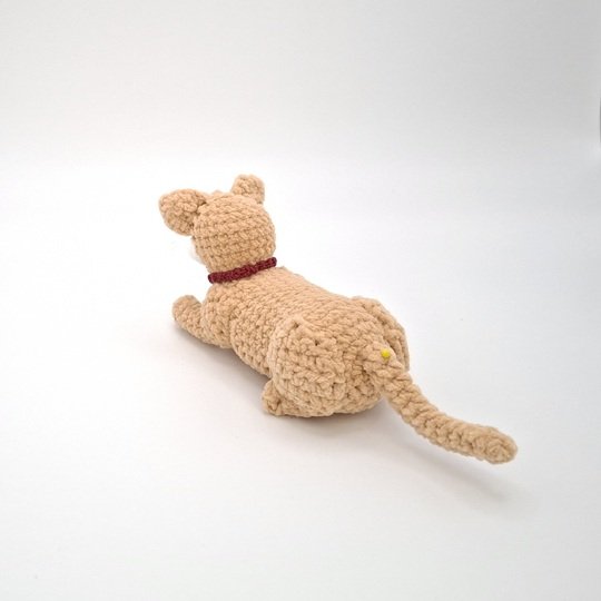 Charlie, die Sphinx-Katze